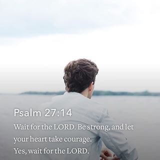 Image result for image patience palm 27:14 Bible