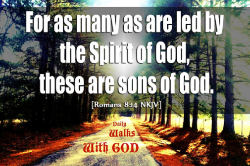 MY TREASURE BOX" : BIBLE QUOTES: ROMANS 8:14